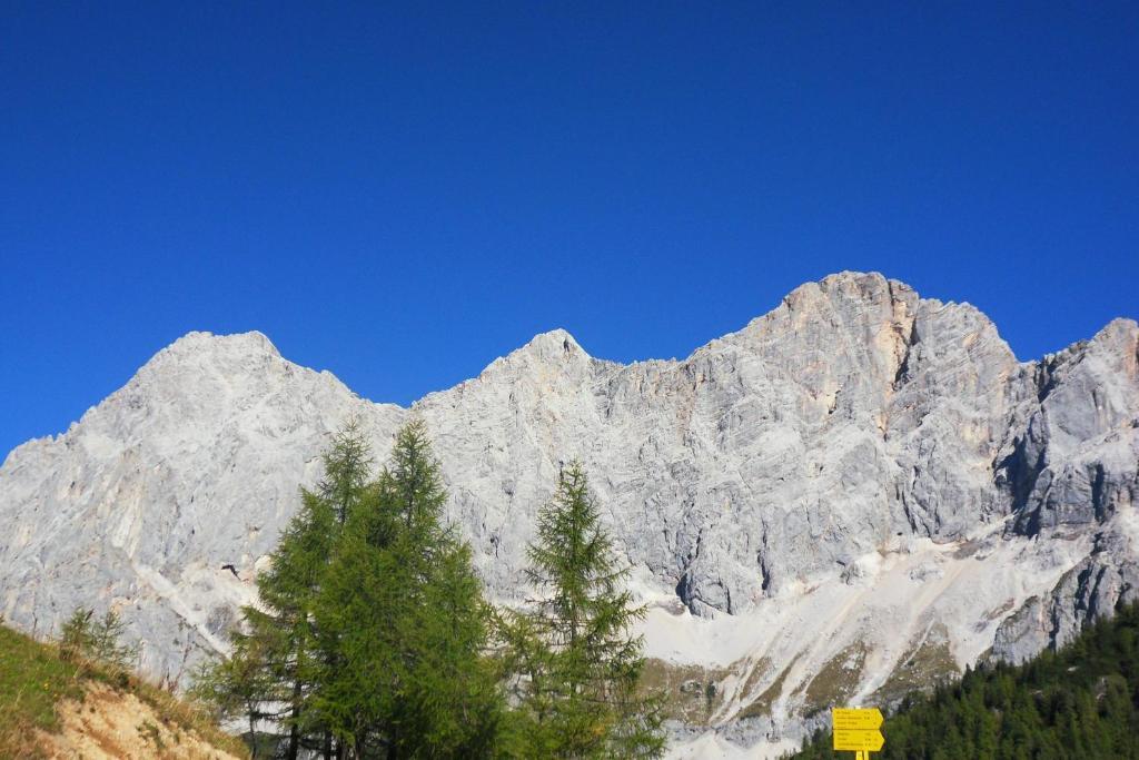 Ferienhaus Abendstille Ramsau am Dachstein Oda fotoğraf