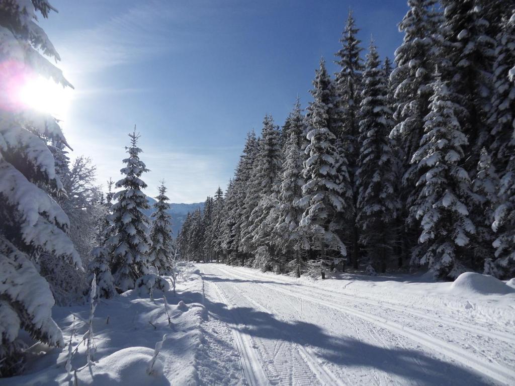 Ferienhaus Abendstille Ramsau am Dachstein Dış mekan fotoğraf